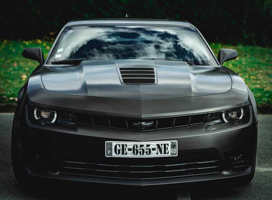 pexels-jean-marc-bonnel-19314044