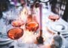 Wino Primitivo – Sekret Włoskiego Półwyspu